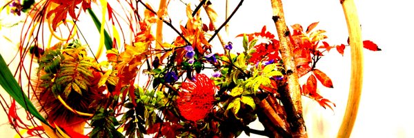 CayleeTierney Profile Banner