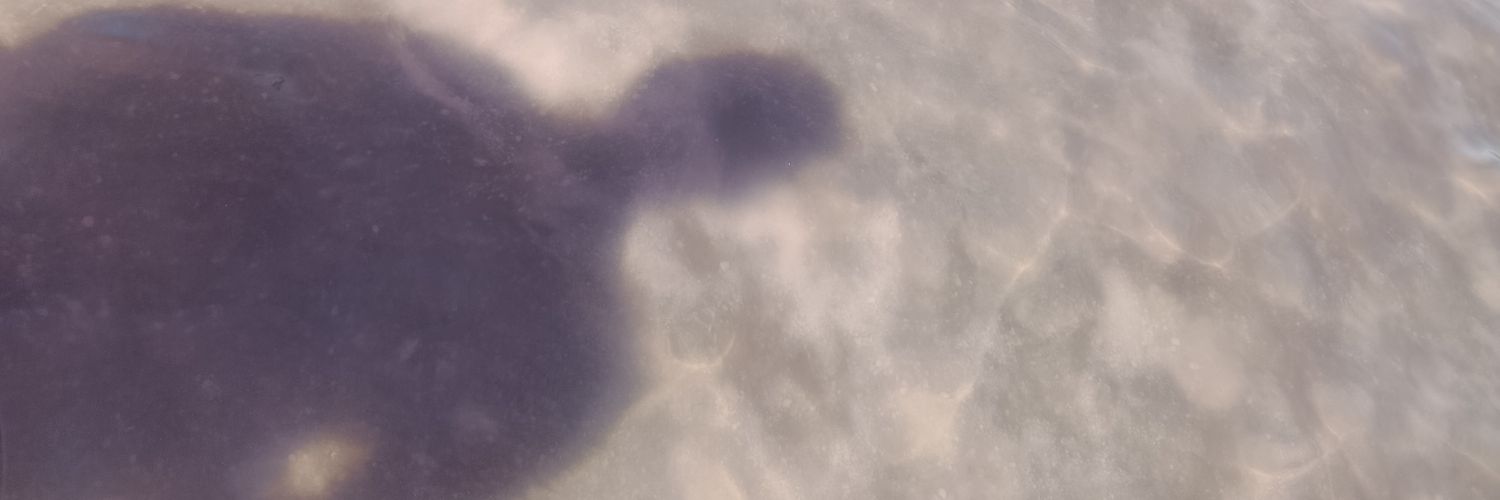 marshellomaster's profile banner image
