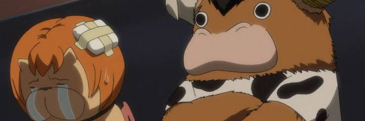 bonchet banner