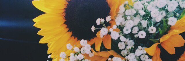 hackett_b23's profile banner image