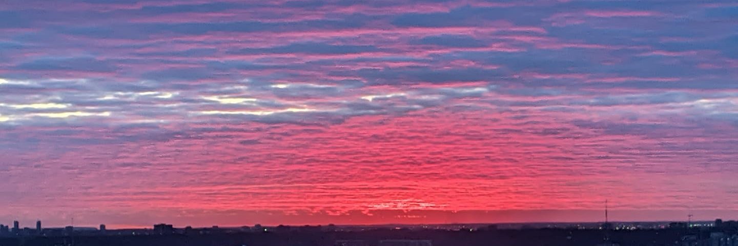 Emma Prestwich banner
