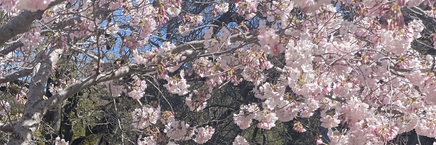 ivythereforyou's profile banner image