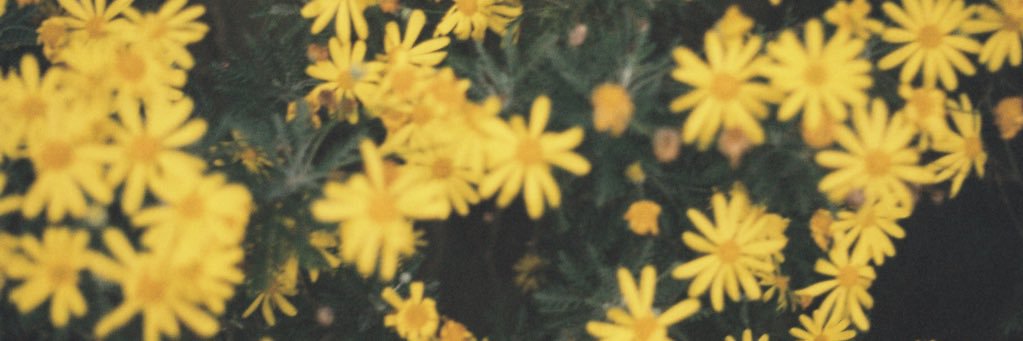 _annkins's profile banner image