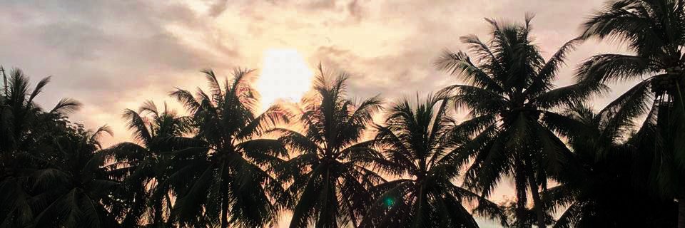 liendaladya's profile banner image