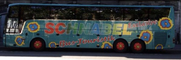 ArielSchnabel Profile Banner