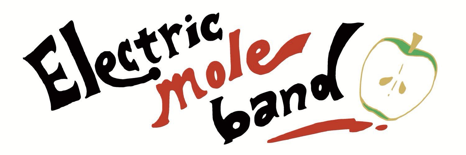 Z.山/倶楽部 of elemol／bassist ☠️👻🍎🦚🦞🤩🤘✨ banner