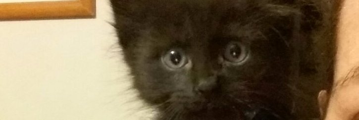 topolinopue27's profile banner image