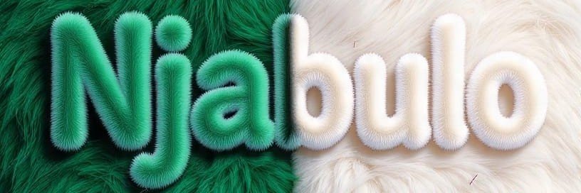 BohMullermbou's profile banner image