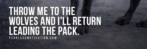 WolfDingoSpawn 🇺🇸🇦🇺 banner