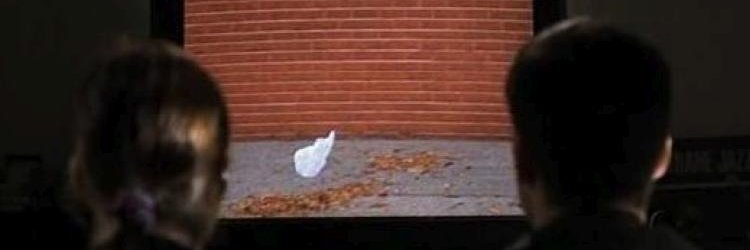 CHELSEA MEADE banner