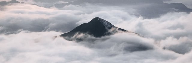 やいこ4y+twins8m banner