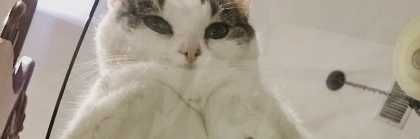 Amykeelan's profile banner image