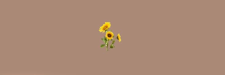 ชอนอมอ ♡ banner