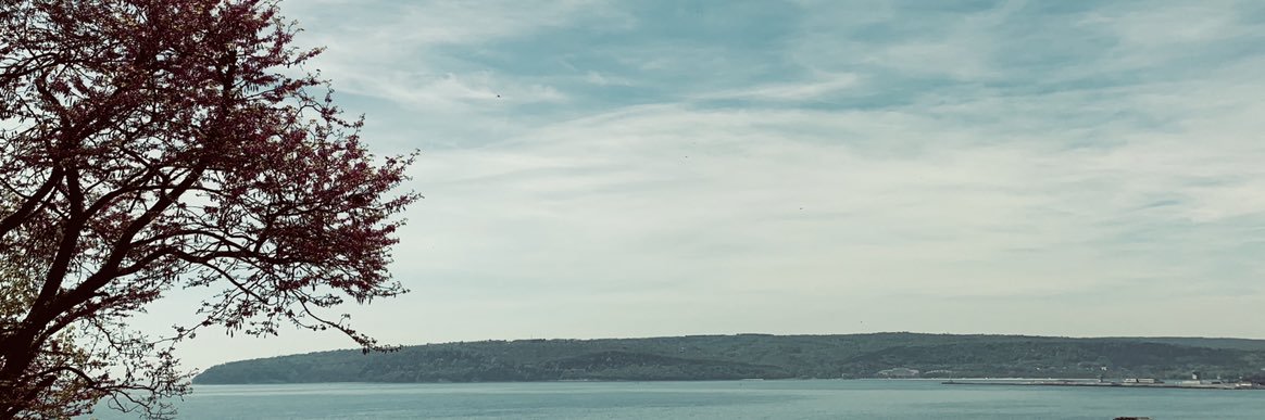 plastisho's profile banner image
