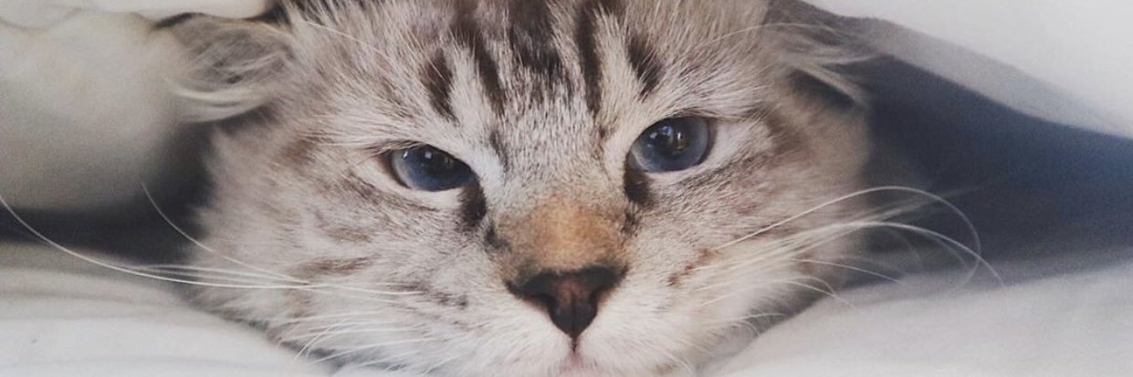 kuetarttt's profile banner image