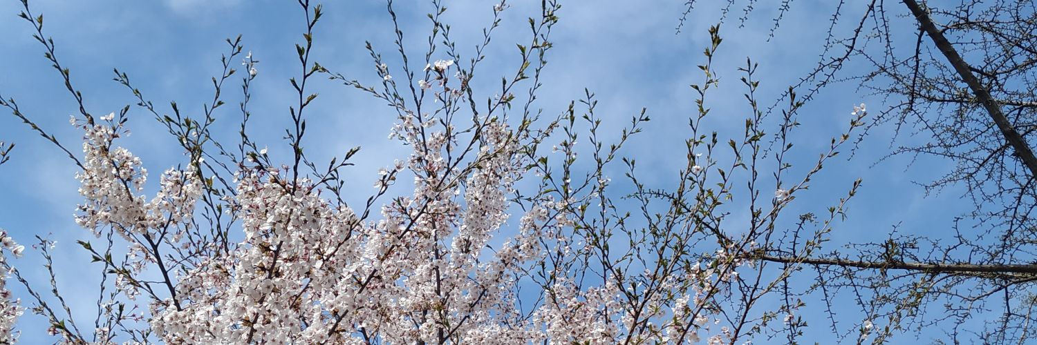 wy06194's profile banner image