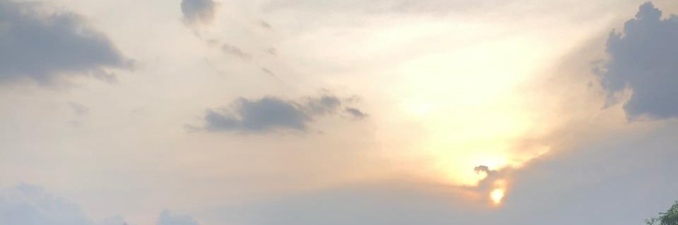ponaramos's profile banner image