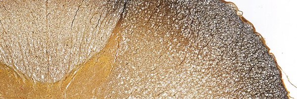 emmanuelsolorza Profile Banner