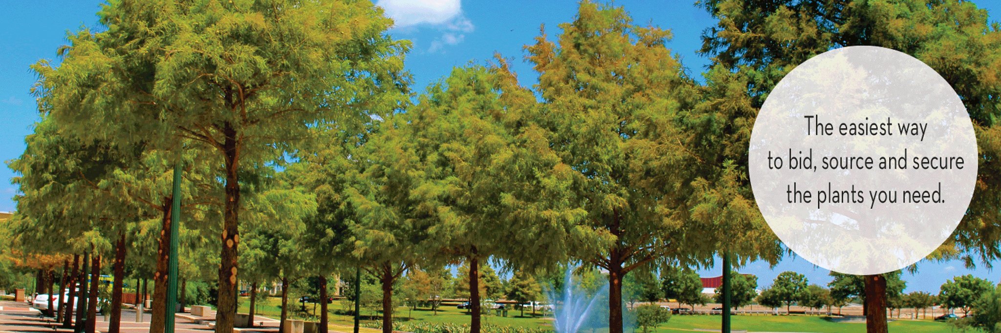 LocalPlantSrc's profile banner image