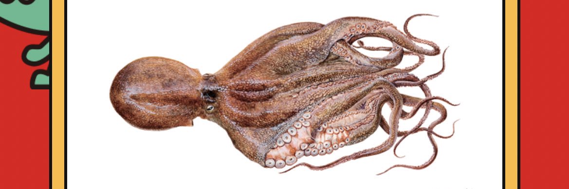 くりす🍑 banner