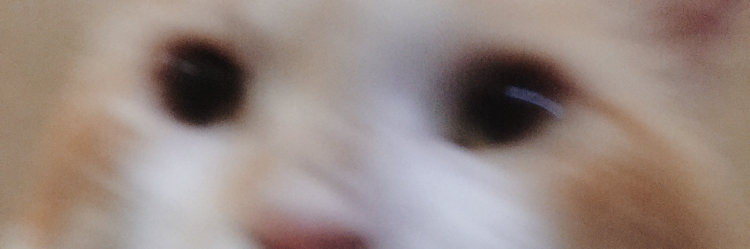 aeldhf's profile banner image