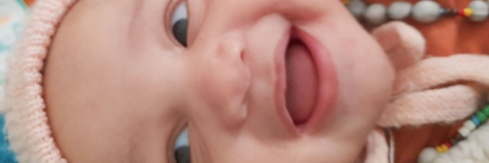 Lilo Blancato 🕛™🇿🇦 banner