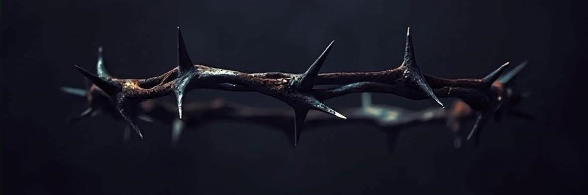 Xenith_Terrek's profile banner image