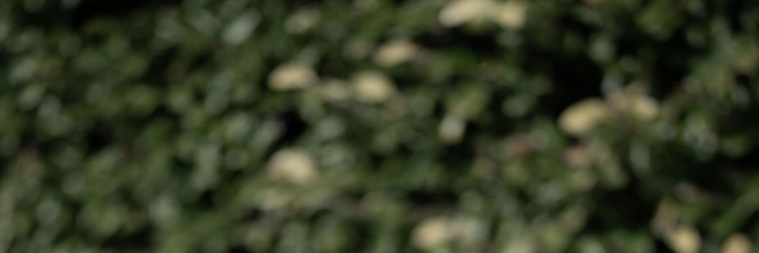 agosende's profile banner image