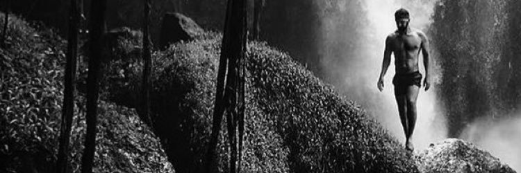 templodeeros's profile banner image