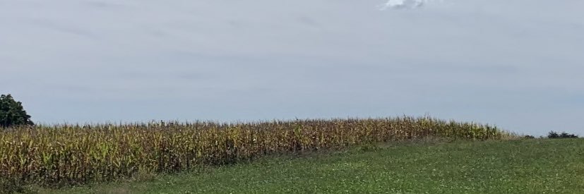 RayBumgarner's profile banner image