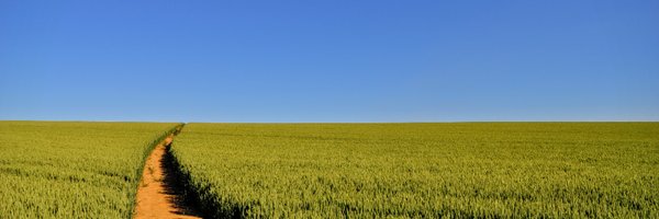 tednsmith Profile Banner