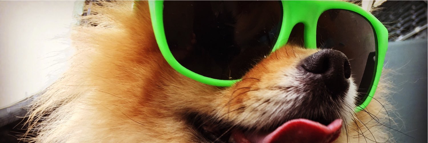 cdsurf10's profile banner image
