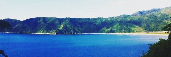Safari_Channel's profile banner image
