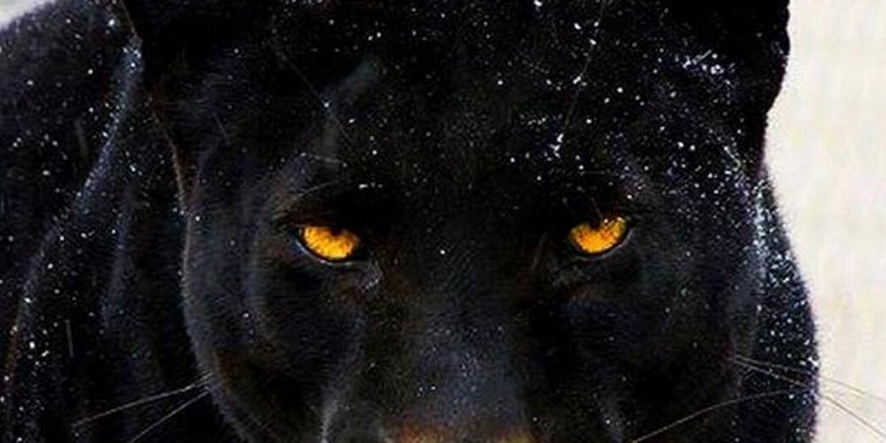 CatyNeg's profile banner image