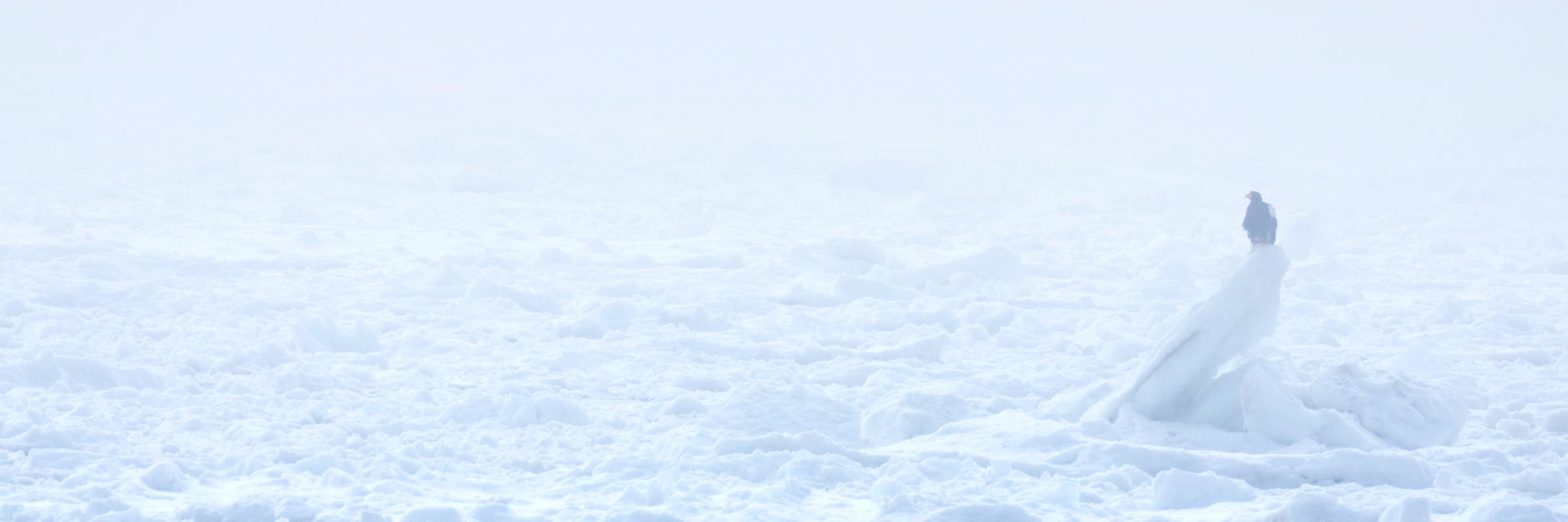UNKNOWN_jp's profile banner image