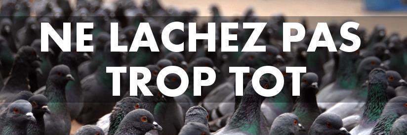 PigeonPharma's profile banner image