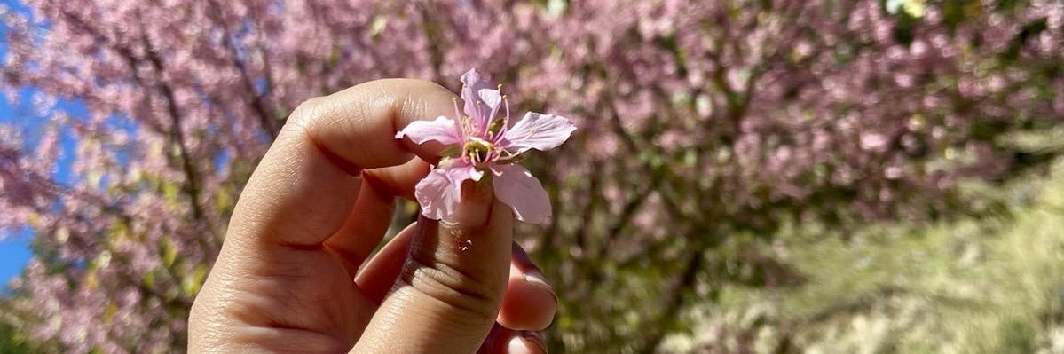prerona_x's profile banner image