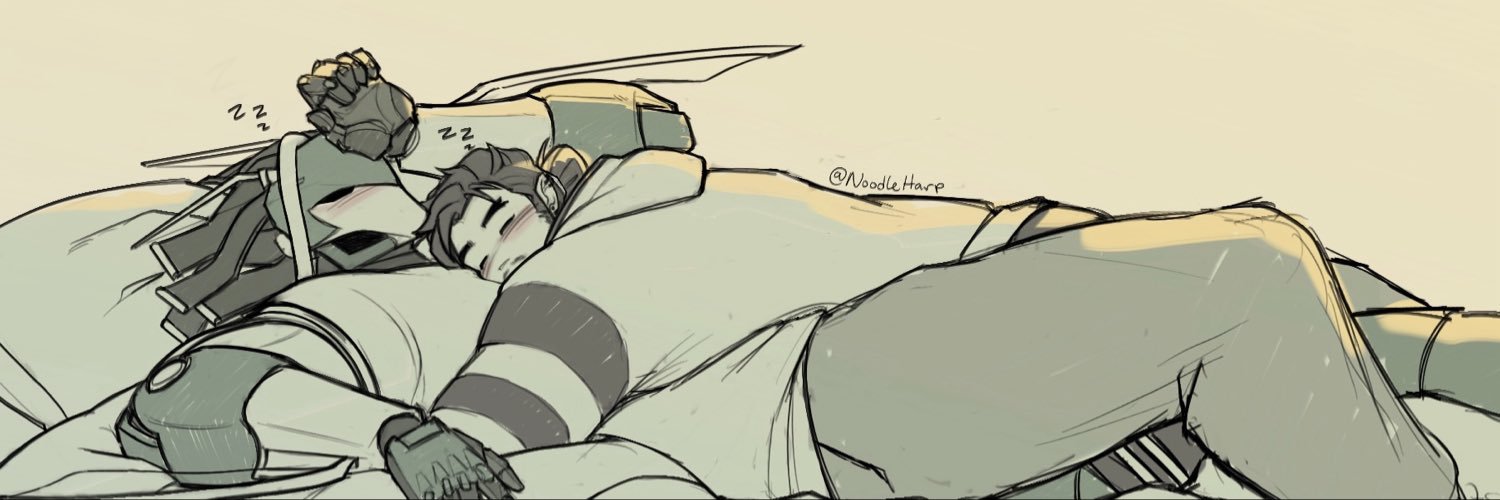 NoodleHarp's profile banner image