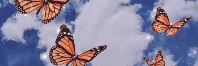 Pablo García banner