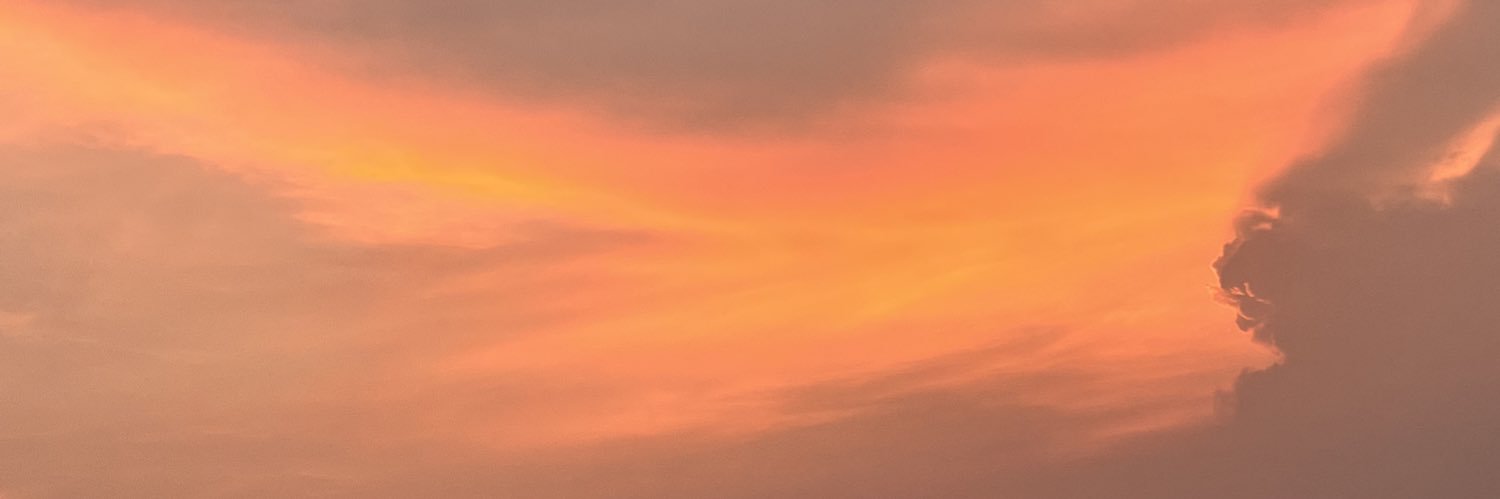 ngochaile's profile banner image