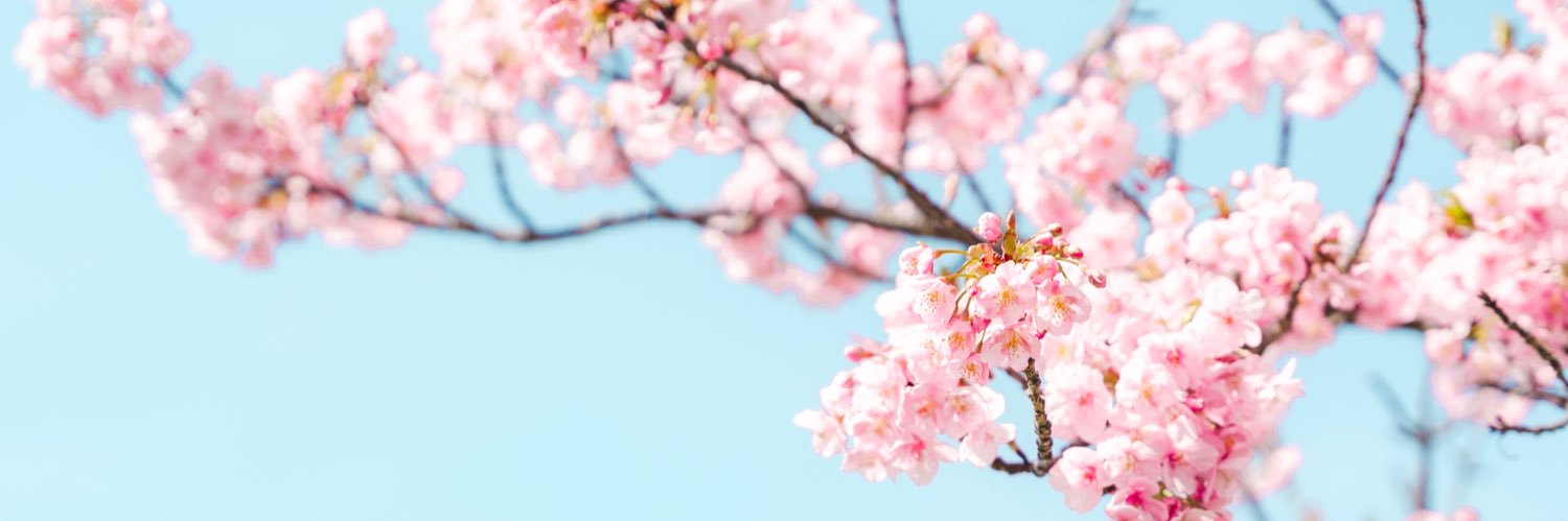なっぱ banner