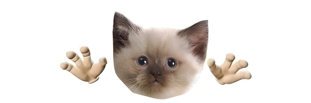 albert_creature's profile banner image
