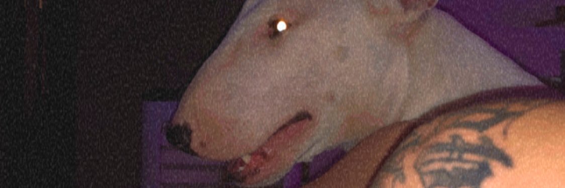 davidcalzad0's profile banner image
