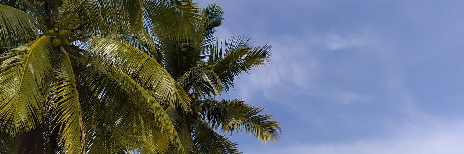 ivanrnldi's profile banner image