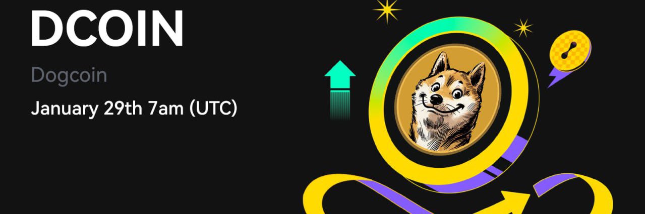 xor dj banner