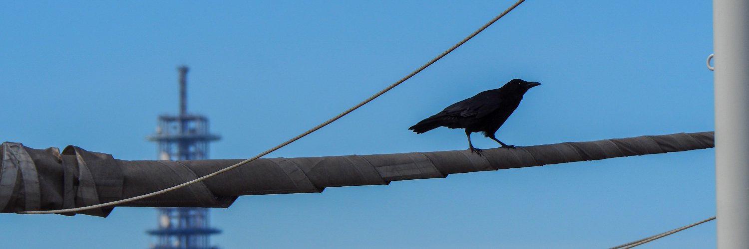 Jarrett Martin ジャレット・マーティン banner