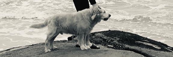 Alexandre Liblik🍄🌵 banner