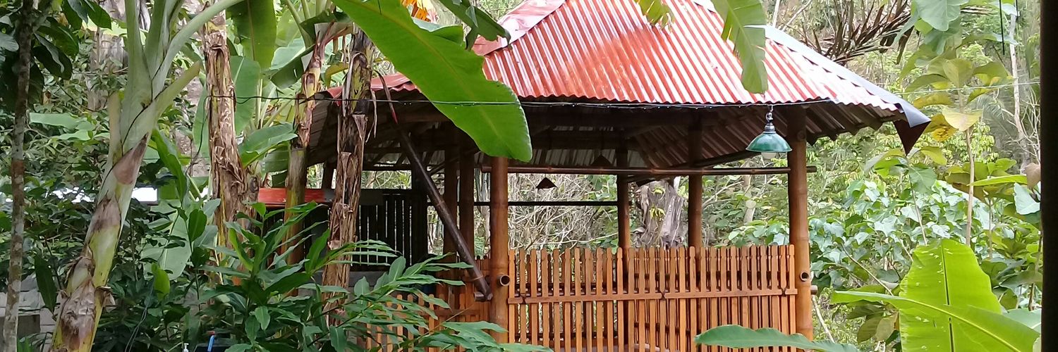 Lisaalaila's profile banner image
