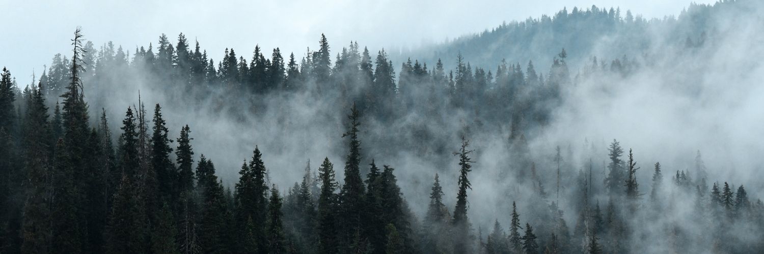 boondockbrian's profile banner image