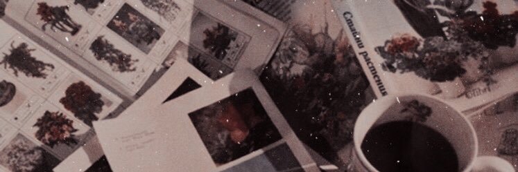 hettokki's profile banner image